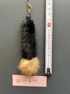 Item thumbnail for item c43e6dfa-54a4-47fe-804d-e5724d69994c