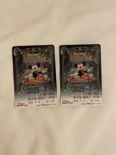 Item thumbnail for item ea56def7-82cb-41a7-9abf-8f49b2b8e6ff