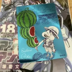 K*e様 ONE PIECE ナツコミ 2026 メタキラカード - メルカリ