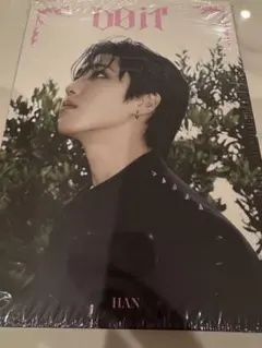 Stray Kids スキズ DoIt アコーディオン ハンジソン 未開封