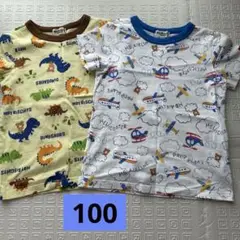 Hot Biscuit 恐竜・飛行機柄 Tシャツ 100