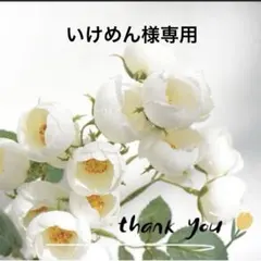 Item thumbnail for item 167a1f8b-fda8-40ee-8508-5f8c6f638483