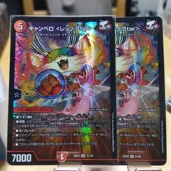 キャンベロ　レッゾスター　2枚