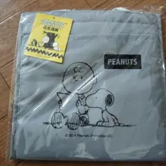PEANUTS チャーリー・ブラウン 保冷温バッグ