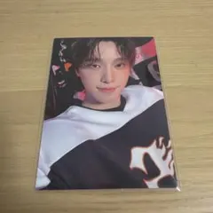 SEVENTEEN HOME ディノ　セルカ