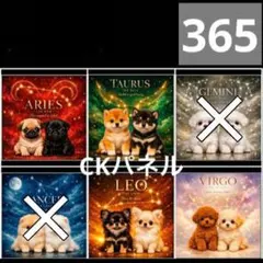 【365】CK様パネル　わんこ