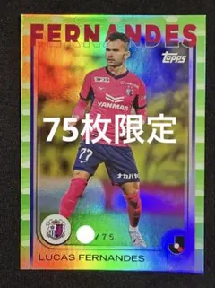 【75シリ】セレッソ大阪 Topps Jリーグ ルーカスフェルナンデス /75