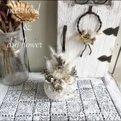 no.1602 ベルカップのアレンジ