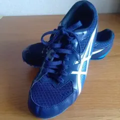 Item thumbnail for item 111d0622-ca96-4769-93a9-a3f3a42aca42