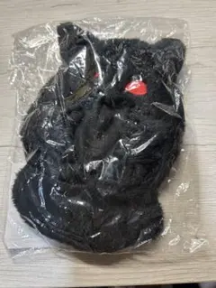 Item thumbnail for item a965dbf0-7c62-42ee-8344-4d95c5ff2d29