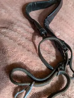 Item thumbnail for item d59280f3-1391-4c7c-a94e-26ea6520114b