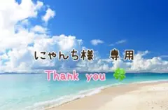 にゃんち様 専用