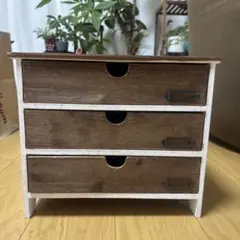 サリュ 小物入れ