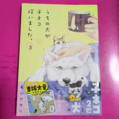 うちの犬が子ネコ拾いました。 3