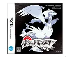ポケットモンスター ブラック カセット DS