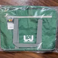 2025年最新】ワールドペガサス ワッペ 緑の人気アイテム - メルカリ