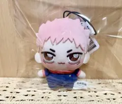 ☆美品☆呪術廻戦　ちょぴぬいぷち　虎杖悠仁　ユージ　ぬいぐるみ　桃ゆじ　エラー品