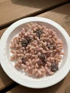 kaorin様 リクエスト 3点 まとめ商品