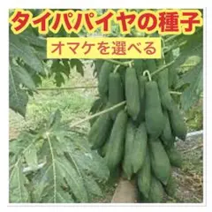 らいち様 リクエスト 2点 まとめ商品