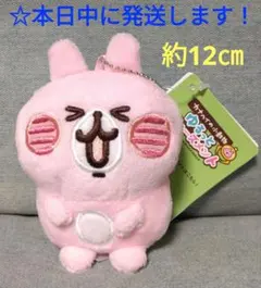 カナヘイの小動物