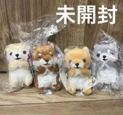 未開封♡豆しば三兄弟みんなでおねだりLMC 豆太郎、タイガ、五郎、さすけのサムネイル