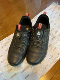 ecco BOA GORE-TEX仕様ゴルフシューズ