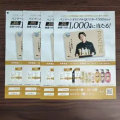 二宮和也パンテーン応募チラシ4枚セット