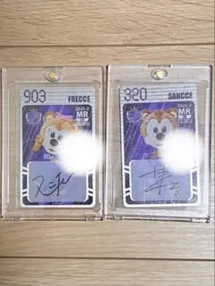 サンフレッチェ広島 オンサイトカード MRサンチェ フレッチェ