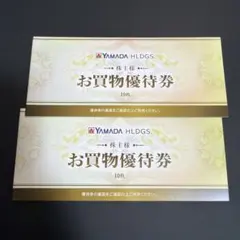 ヤマダ電機　お買い物優待券　10,000円分