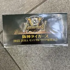 阪神タイガース2025セントラルリーグリーグ優勝記念阪神電車入場券