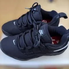 2026年最新】Supreme Nike SB Darwin Low blackの人気アイテム - メルカリ