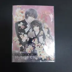 【未開封】中村春菊　Hybrid Child　クリアファイル　B6サイズ