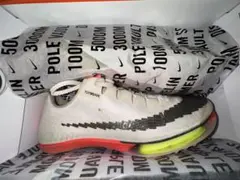 マックスフライ