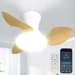 Item thumbnail for item 26f84c30-c3c7-4b1d-a3e5-e26ab3d0d281