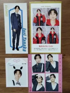 田中樹 推しお守り 推しおり ハッピー4カット 証明写真 切り抜き