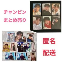 チャンビン まとめ売り Stray kids KARMA NACIFIC