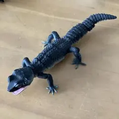 いきもの大図鑑アドバンス ヒョウモントカゲモドキ