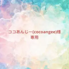 ココあんじー(cocoangee)様確認専用ページ【取り置き中12月12日まで】