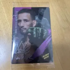 RIZINウエハースNo.14クレべル・コイケ