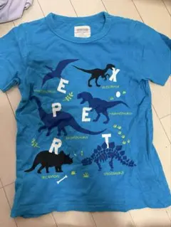 Item thumbnail for item e33e5aad-af08-4b37-8af6-4d73688c1fa5