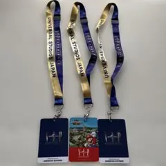 ユニバーサル・スタジオ・ジャパン VIPパス
