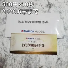 YAMADA HLDGS. お買物優待券 500円×10枚 ヤマダ電機