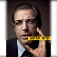 moscot lemtosh サングラス