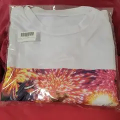 ピカチュウとイーブイたち　ポケットモンスター　PtZ　Tシャツ　新品