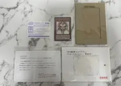 2025年最新】遊戯王 ホルアクティ 当選書の人気アイテム - メルカリ