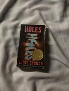HOLES LOUIS SACCHAR