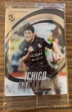 中楠一期 リコーブラックラムズ東京　ジャパンラグビー　トレーディングカード