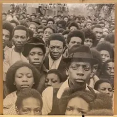 激レア SOUL/FUNK系 傑作レゲエコンピレーション 2枚組レコード