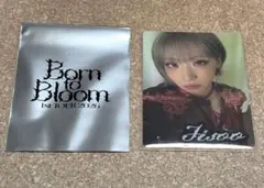 HANA Born to Bloom トレカ&ステッカーセット ジス