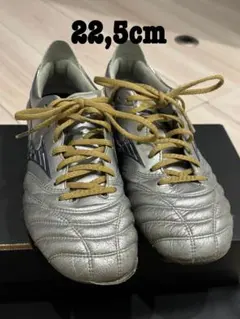 2025年最新】モレリアネオ4 22の人気アイテム - メルカリ